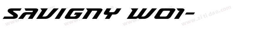 Savigny W01字体转换